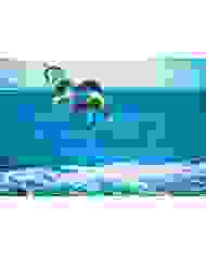 Jobe Vanity Wakeboard