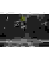 Jobe Conflict wakeboard