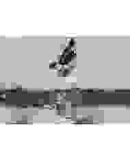 Jobe Breach wakeboard
