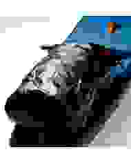 Jobe Duna 11'" Elite